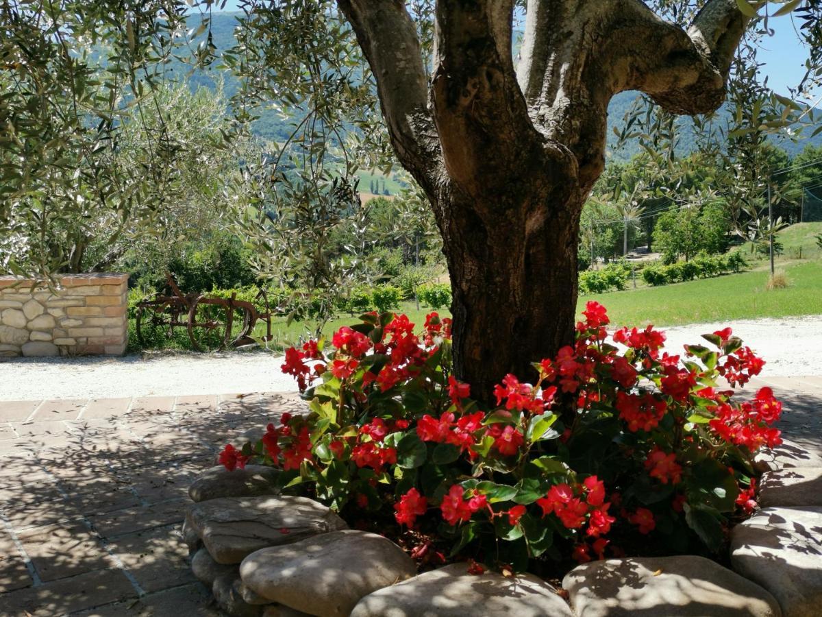 Agriturismo Sole Luna Piano Delle Pieve Екстериор снимка